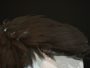 hair and beard cards 3D 模型