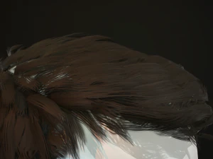 hair and beard cards 3D Model