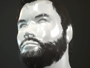 hair and beard cards 3D 模型