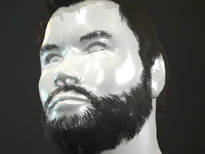 hair and beard cards 3D Model