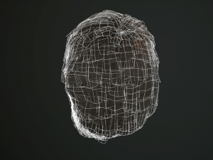 hair and beard cards 3D 模型