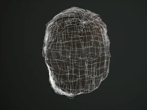 hair and beard cards 3D Model