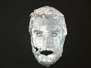 hair and beard cards 3D Model