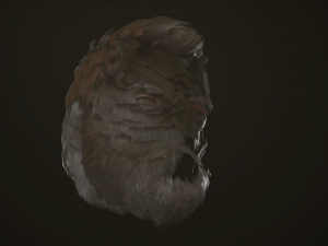 hair and beard cards 3D 模型