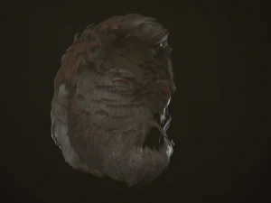 hair and beard cards 3D Model