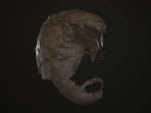 hair and beard cards 3D 模型