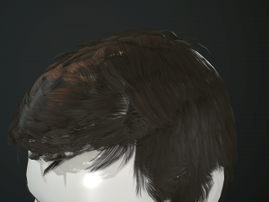 hair and beard cards 3D 模型