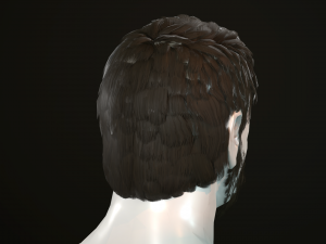 hair and beard cards 3D 模型