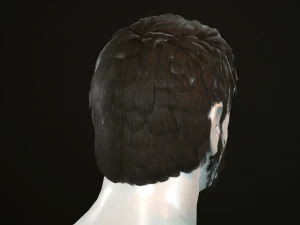 hair and beard cards 3D Model