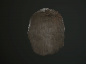 hair and beard cards 3D 模型