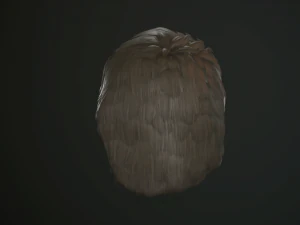 hair and beard cards 3D Model