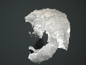 hair and beard cards 3D 模型