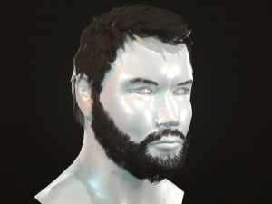 hair and beard cards 3D 模型