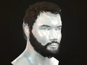 hair and beard cards 3D Model
