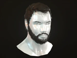 hair and beard cards 3D Model