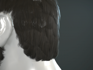 hair and beard cards 3D 模型