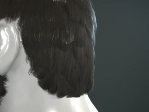 hair and beard cards 3D Model