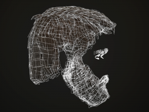 hair and beard cards 3D 模型