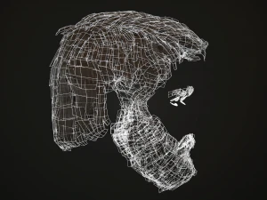 hair and beard cards 3D Model