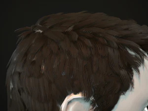 hair and beard cards 3D Model