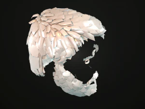 hair and beard cards 3D Model