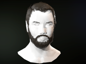 hair and beard cards 3D 模型