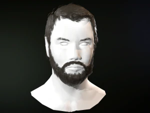 hair and beard cards 3D Model