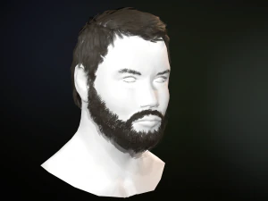 hair and beard cards 3D Model