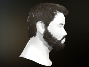 hair and beard cards 3D 模型