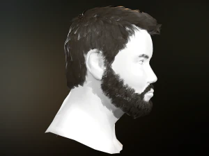 hair and beard cards 3D Model