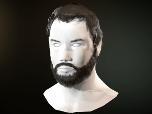 hair and beard cards 3D 模型