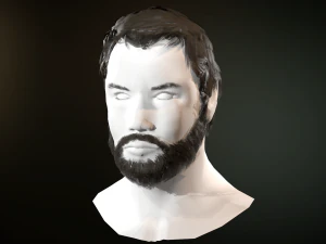 hair and beard cards 3D Model