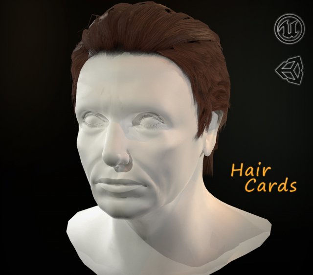 hair cards mans Model 3D .c4d .max .obj .3ds .fbx .stl .blend 