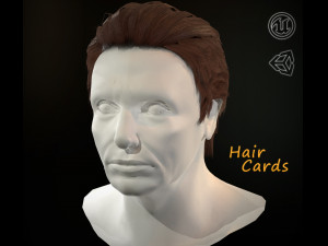 hair cards mans 3D Model