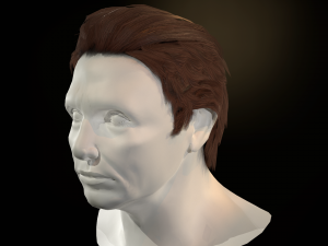 hair cards mans Model 3D