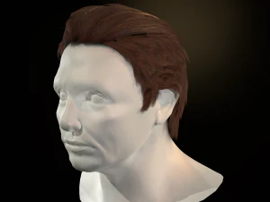 hair cards mans 3D Model