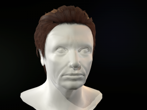 hair cards mans Model 3D