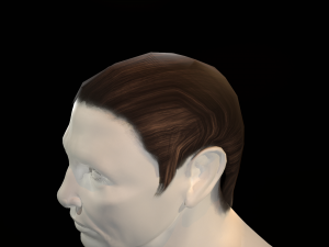 hair cards mans Model 3D