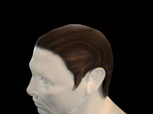 hair cards mans 3D Model