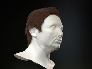 hair cards mans Model 3D