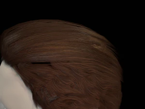 hair cards mans 3D Model