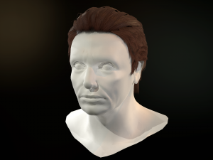 hair cards mans Model 3D