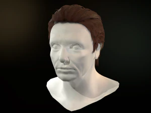 hair cards mans 3D Model
