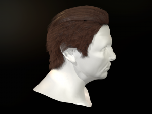 hair cards mans Model 3D