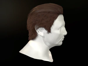 hair cards mans 3D Model