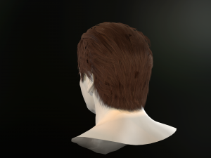 hair cards mans Model 3D
