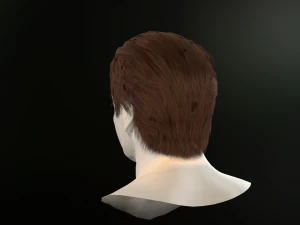 hair cards mans 3D Model