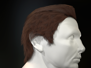 hair cards mans Model 3D