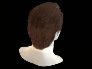 hair cards mans Model 3D