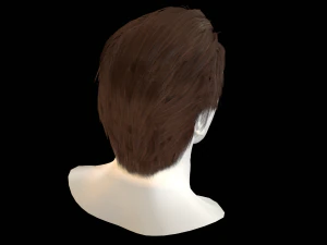 hair cards mans 3D Model